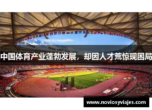 中国体育产业蓬勃发展，却因人才荒惊现困局
