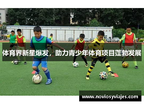 体育界新星爆发，助力青少年体育项目蓬勃发展